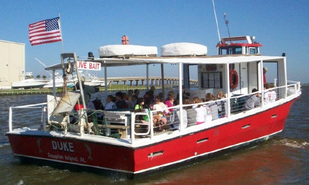 dauphin island boat tours