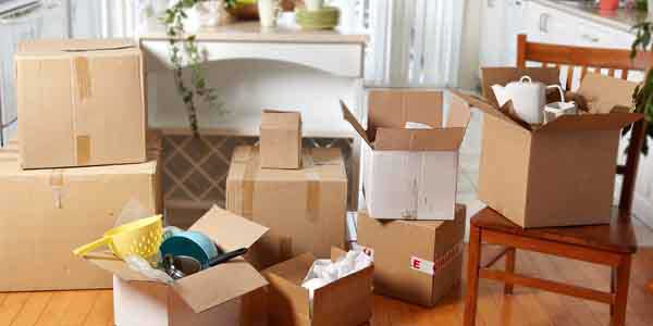 raleigh movers